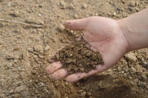 Test Your Soil