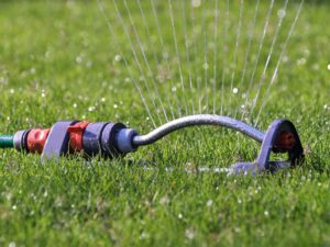 Water your lawn with a sprinkler